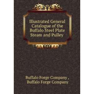   Buffalo Steel Plate Steam and Pulley . Buffalo Forge Company Buffalo