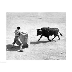   in a bullring, Madrid, Spain Poster (24.00 x 18.00)
