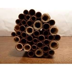 Summer Mason Bee Tubes & Reeds   Variety Pack Patio, Lawn 