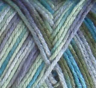 CARON SIMPLY SOFT PAINTS MILL END YARN SPRING BROOK 1#  