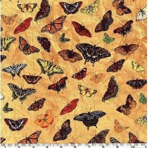  45 Wide Butterflies on Map Natural Fabric By The Yard 