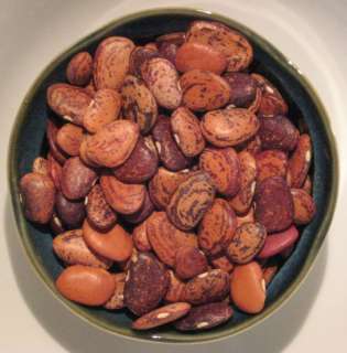 Jackson Wonder Bush Lima Bean (Phaseolus lunatus) Seeds  