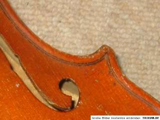 Instrument Type Violins