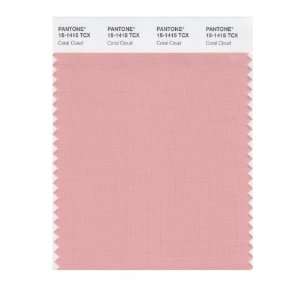   SMART 15 1415X Color Swatch Card, Coral Cloud