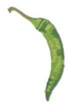 Green Chili Pepper Pod Vegetable Embroidered Iron On Patch Applique 