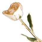 goldia Lacquer Dipped Gold Trim White Satin Rose