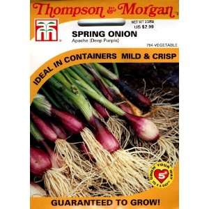   Onion Salad Apache ( Deep Purple) Seed Packet Patio, Lawn & Garden