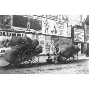   19900 8P2030 New York Rag Carts 20x30 poster