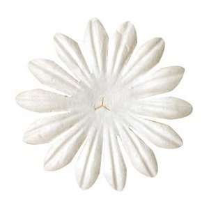   Flowers   White Daisy 2 10/Pkg White Daisy 2 10/Pkg
