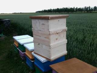 Stöckige Bienenkisten auch mit Bienen in Bayern   Leipheim 