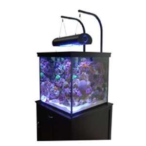   USA Solana XL 60 Gallon Aquarium & Modern Black Stand