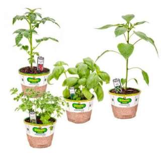 Bonnie Plants Organic 5 In. Garden Starter One (4 Plants) GARDEN START 