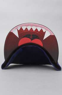 Mishka The Keep Watch New Era Hat in Royal  Karmaloop   Global 