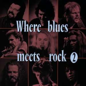 Where Blues Meets Rock Vol.2 Various  Musik