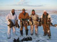 Saskatchewan Waterfowl Hunts   Duck , Geese hunt  
