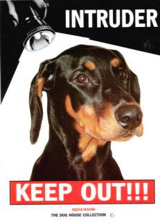 Keep Out INTRUDER Dog Sign Rotweiller/Pit bull/Alsatian  