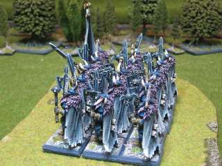 Warhammer DPS painted Chaos Warriors Rgt WC010a  