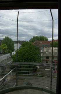 Balkon sicher für Katzen in Düsseldorf   Bezirk 8  Katzen 