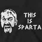 300 spartans this is sparta t shirt more options £