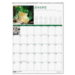  House of Doolittle  Kittens Monthly Wall Calendar, 12 x 