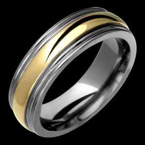  Antares   size 13.50 Titanium Ring with 14K Gold Center Jewelry