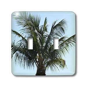 Florene Trees   Lovely Palm Tree   Light Switch Covers   double toggle 
