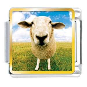  Animal Photo Sheep Face Italian Charms Bracelet Link 