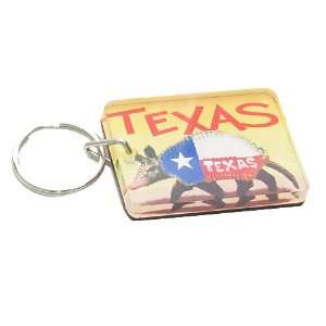  Texas Armadillo/Flag Keychain