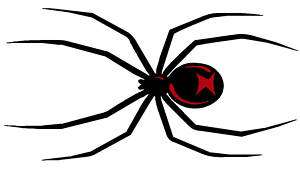 Spider Graphics Car Decals, Stickers (42 x 22)  