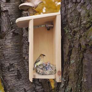  Coveside 10045S Backyard Bird Bird House