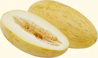 Rockmelon Indian Cream Cobra seeds V 355  