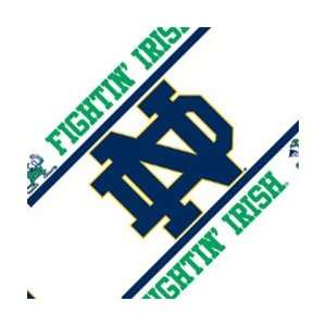  NCAA Notre Dame Wall Border Roll   Fighting Irish Football 