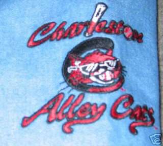 Carolina Mudcats Denim Shirt Medium Minor league MLB  