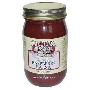 Galena Fat Free Raspberry Salsa, 16 oz  Grocery & Gourmet 