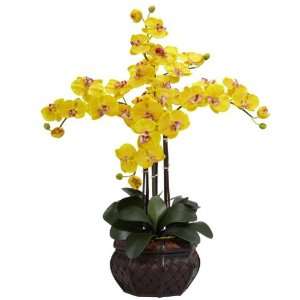   Phalaenopsis w/Decorative Vase Silk Flower Arrangement