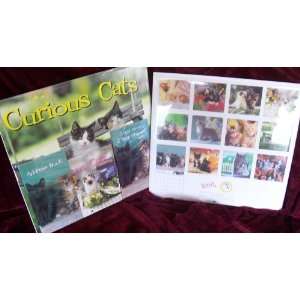   2008 16 Month Curious Cats Wall Calendar Bonus Pack
