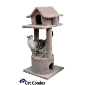  Cat Pagoda Tower