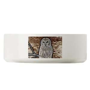  Large Dog Cat Food Water Bowl Snow Owl 