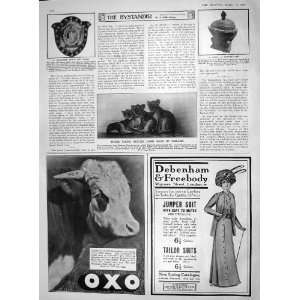  1909 CHALLENGE SHIELD CHOIRS EATON ZOO LIONS OXO COW