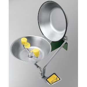 Eyesaver Wall Mount Covered Eye / Face Wash with Stainless Steel Bowl 