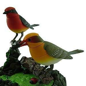  Natures Songbirds Desktop Organizer Toys & Games