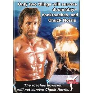 Chuck Norris Doomsday Cockroaches Magnet 26723D