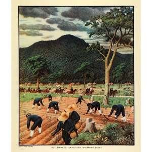  1933 Print Agriculture Farming Crops Emperor Meiji Art 
