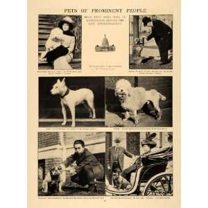  1913 Print Pets PHelen Taft Chang Stimson Airedale Dog 