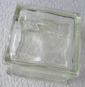 GLASS BLOCK PLANTER Fish Bowl Bare Root Plant Cuttings  