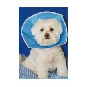  Trimline Veterinary Soft Recovery Dog Collar 4  