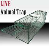 Racoon Skunk Possum Rabbit Cat Live Humane Animal Trap 31x9x11 Cage 