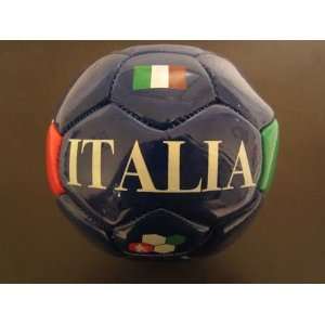  Italy 2010 FIFA World Cup Size 2 Mini Pure Roar Soccer 