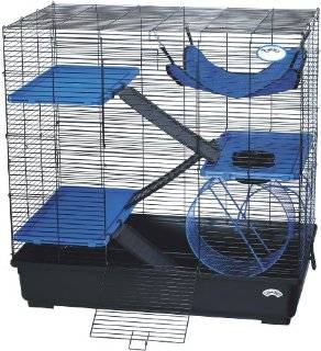 My Hamster Store   Hamster Accessories