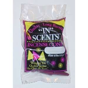  Jasmine   20 Incense Cones From In Scents Beauty